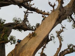 267442_10150257961949901_4873102_n